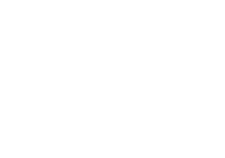 NWA Back Center Logo